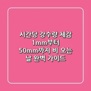 시간당 강수량 체감 1mm부터 50mm까지 비 오는 날 완벽 가이드