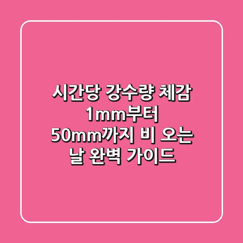 시간당 강수량 체감 1mm부터 50mm까지 비 오는 날 완벽 가이드