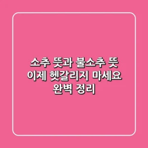 소추 뜻과 불소추 뜻 이제 헷갈리지 마세요 완벽 정리