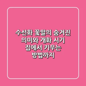 수선화 꽃말의 숨겨진 의미와 개화 시기, 집에서 키우는 방법까지!