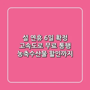 설 연휴 6일 확정! 고속도로 무료 통행, 농축수산물 할인까지! 🎉