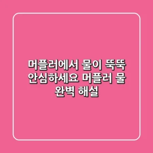 머플러에서 물이 뚝뚝? 안심하세요! 머플러 물, 완벽 해설