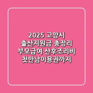 2025 고양시 출산지원금 총정리: 부모급여, 산후조리비, 첫만남이용권까지!