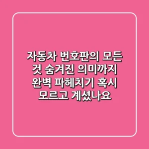 자동차 번호판의 모든 것! 숨겨진 의미까지 완벽 파헤치기! 혹시, 모르고 계셨나요?
