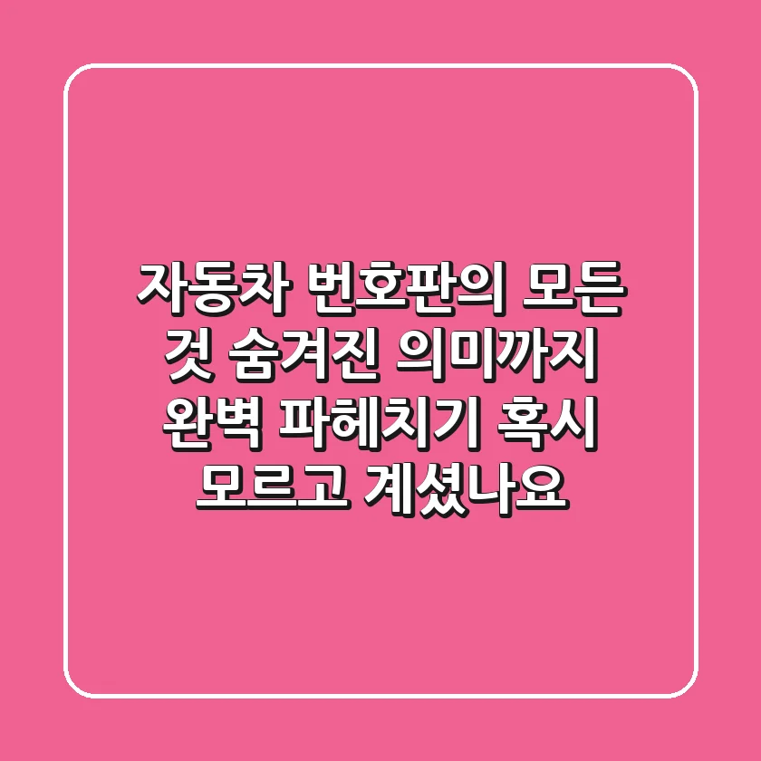 자동차 번호판의 모든 것! 숨겨진 의미까지 완벽 파헤치기! 혹시, 모르고 계셨나요?