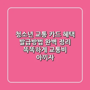 청소년 교통 카드 혜택, 발급방법 완벽 정리! 똑똑하게 교통비 아끼자