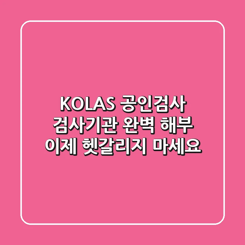 KOLAS, 공인검사, 검사기관 완벽 해부! 🕵️‍♀️ 이제 헷갈리지 마세요!
