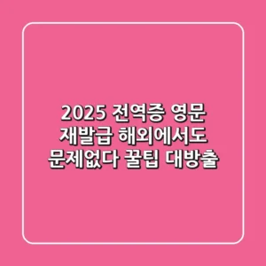 2025 전역증 영문 재발급: 해외에서도 문제없다! 꿀팁 대방출
