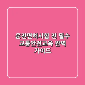 운전면허시험 전 필수! 교통안전교육 완벽 가이드