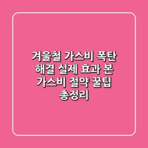 겨울철 가스비 폭탄 해결! 실제 효과 본 가스비 절약 꿀팁 총정리