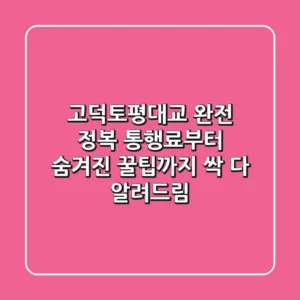 고덕토평대교 완전 정복! 통행료부터 숨겨진 꿀팁까지 싹 다 알려드림!