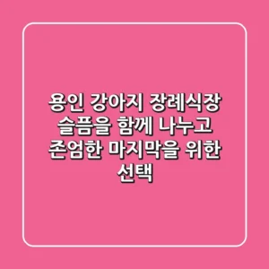 용인 강아지 장례식장: 슬픔을 함께 나누고, 존엄한 마지막을 위한 선택