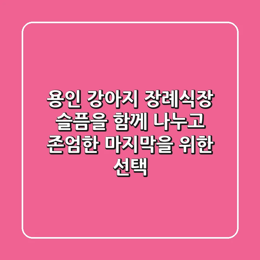 용인 강아지 장례식장: 슬픔을 함께 나누고, 존엄한 마지막을 위한 선택