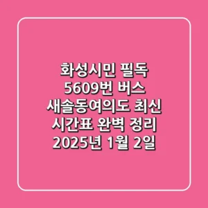 화성시민 필독! 5609번 버스: 새솔동-여의도 최신 시간표 완벽 정리 (2025년 1월 2일~)🚌