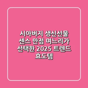 시아버지 생신선물: 센스 만점 며느리가 선택한 2025 트렌드 효도템