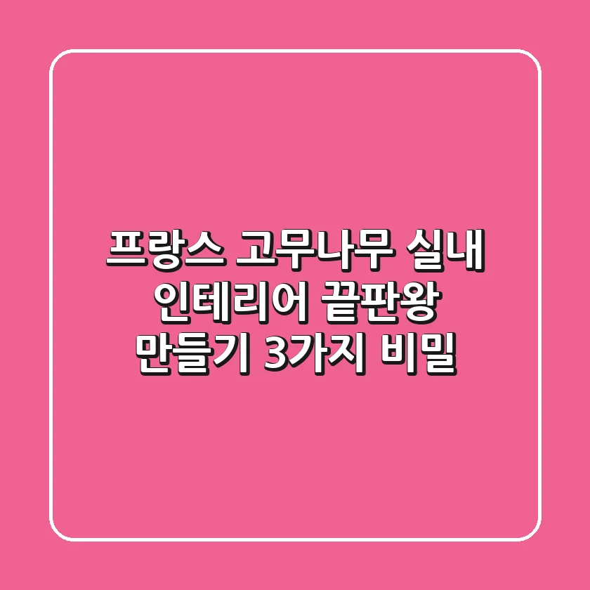 프랑스 고무나무, 실내 인테리어 끝판왕 만들기: 3가지 비밀