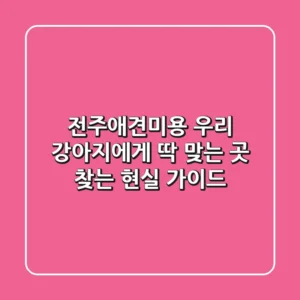 전주애견미용, 우리 강아지에게 딱 맞는 곳 찾는 현실 가이드