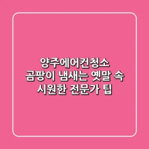 양주에어컨청소, 곰팡이 냄새는 옛말! 속 시원한 전문가 팁