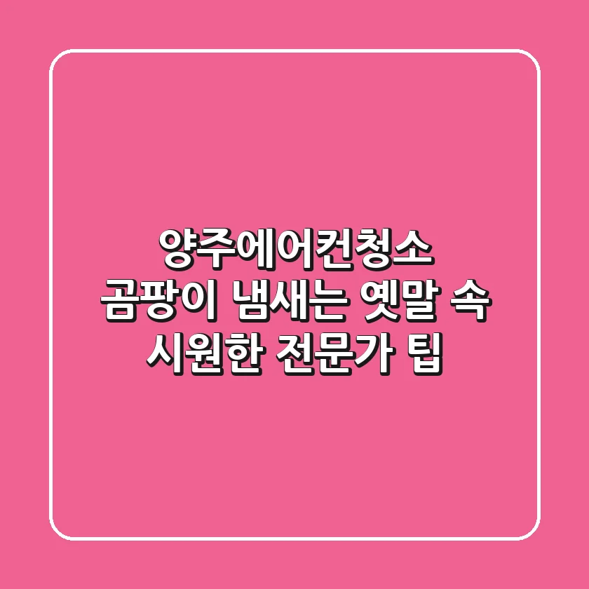 양주에어컨청소, 곰팡이 냄새는 옛말! 속 시원한 전문가 팁