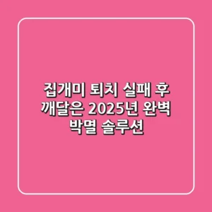집개미 퇴치, 실패 후 깨달은 2025년 완벽 박멸 솔루션