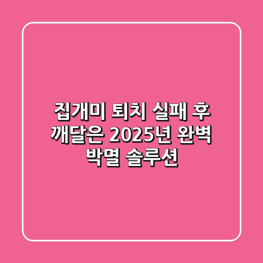 집개미 퇴치, 실패 후 깨달은 2025년 완벽 박멸 솔루션