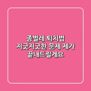 좀벌레 퇴치법, 지긋지긋한 문제 제가 끝내드릴게요!