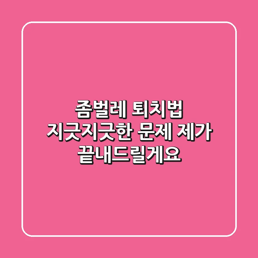 좀벌레 퇴치법, 지긋지긋한 문제 제가 끝내드릴게요!