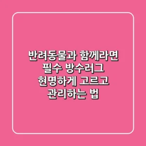 반려동물과 함께라면 필수! 방수러그, 현명하게 고르고 관리하는 법