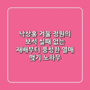 낙상홍 겨울 정원의 보석, 실패 없는 재배부터 풍성한 열매 맺기 노하우