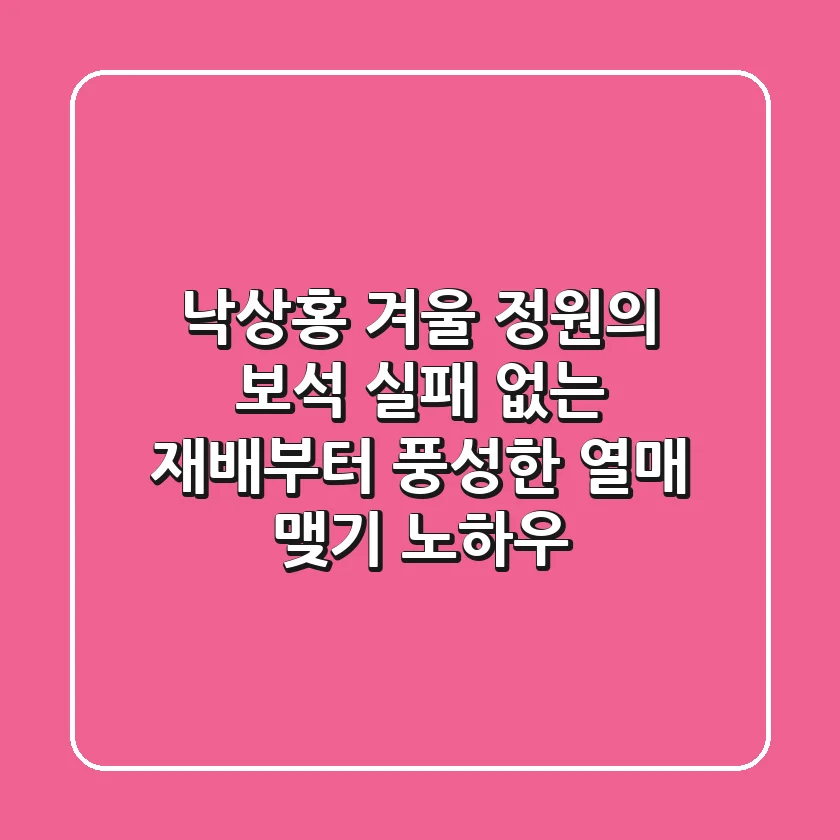 낙상홍 겨울 정원의 보석, 실패 없는 재배부터 풍성한 열매 맺기 노하우