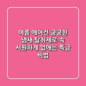 여름 에어컨 쿰쿰한 냄새, 탈취제로 속 시원하게 없애는 특급 비법