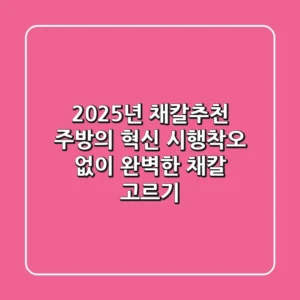 2025년 채칼추천, 주방의 혁신! 시행착오 없이 완벽한 채칼 고르기
