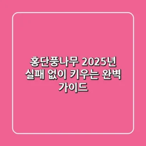 홍단풍나무, 2025년 실패 없이 키우는 완벽 가이드