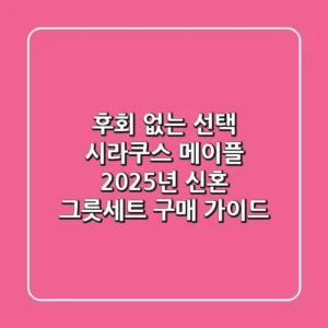 후회 없는 선택! 시라쿠스 메이플, 2025년 신혼 그릇세트 구매 가이드