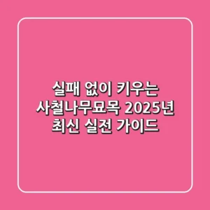 실패 없이 키우는 사철나무묘목: 2025년 최신 실전 가이드