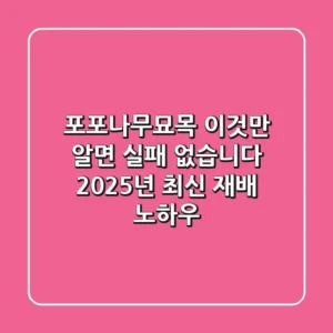 포포나무묘목, 이것만 알면 실패 없습니다! 2025년 최신 재배 노하우