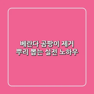 베란다 곰팡이 제거, 뿌리 뽑는 실전 노하우