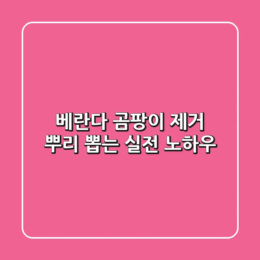 베란다 곰팡이 제거, 뿌리 뽑는 실전 노하우