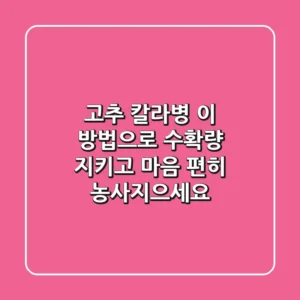 고추 칼라병, 이 방법으로 수확량 지키고 마음 편히 농사지으세요!