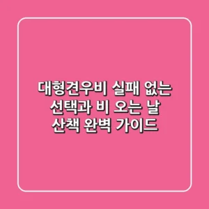 대형견우비, 실패 없는 선택과 비 오는 날 산책 완벽 가이드
