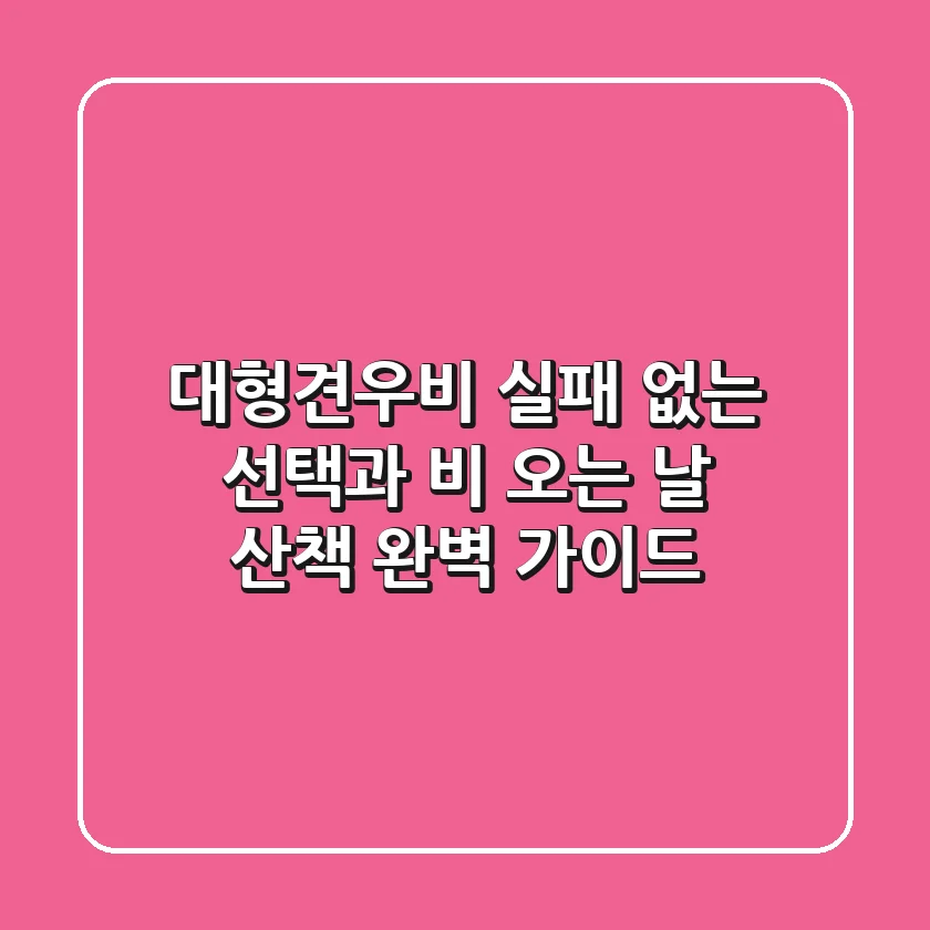 대형견우비, 실패 없는 선택과 비 오는 날 산책 완벽 가이드