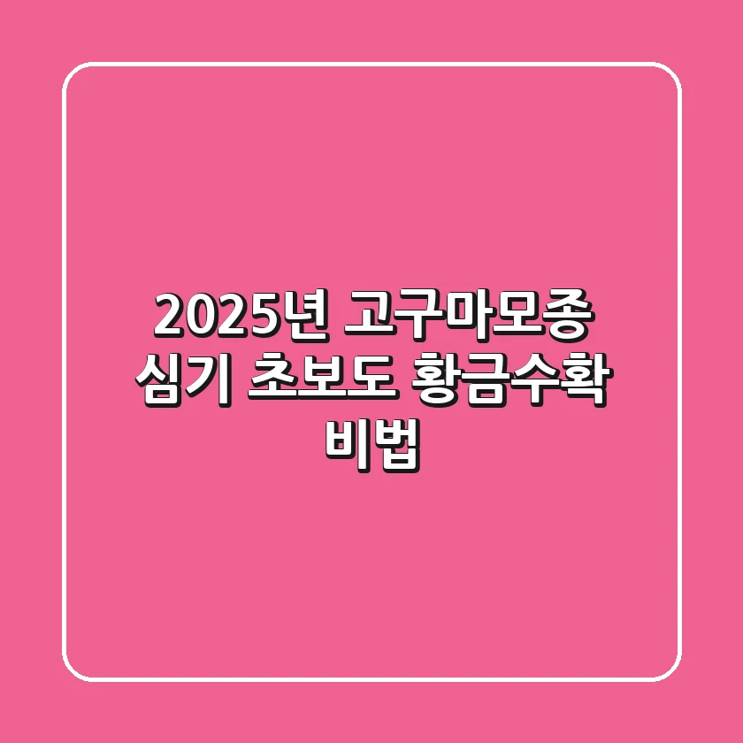 2025년 고구마모종 심기, 초보도 황금수확 비법