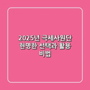 2025년 극세사원단, 현명한 선택과 활용 비법