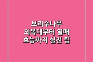 보리수나무, 외목대부터 열매 효능까지 실전 팁
