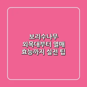 보리수나무, 외목대부터 열매 효능까지 실전 팁