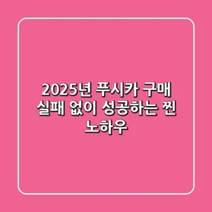 2025년 푸시카 구매, 실패 없이 성공하는 찐 노하우