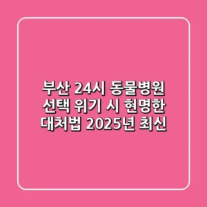 부산 24시 동물병원 선택, 위기 시 현명한 대처법 (2025년 최신)