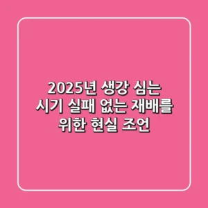 2025년 생강 심는 시기, 실패 없는 재배를 위한 현실 조언