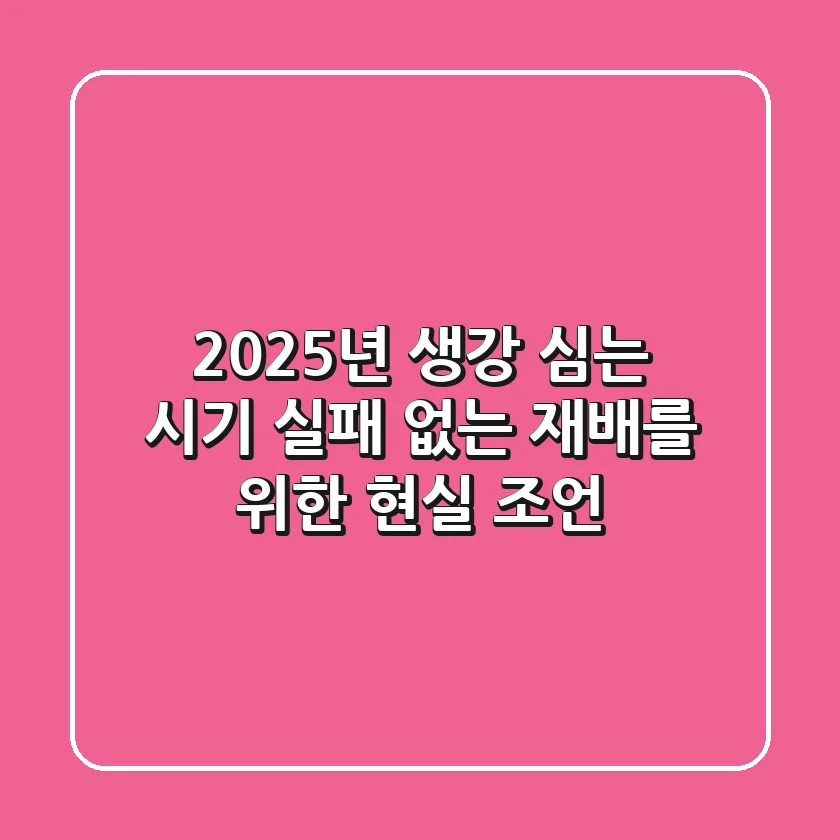 2025년 생강 심는 시기, 실패 없는 재배를 위한 현실 조언