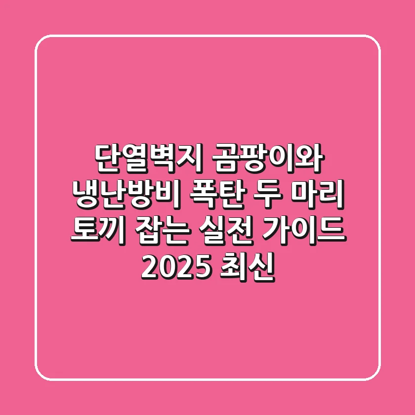 단열벽지, 곰팡이와 냉난방비 폭탄, 두 마리 토끼 잡는 실전 가이드 (2025 최신)